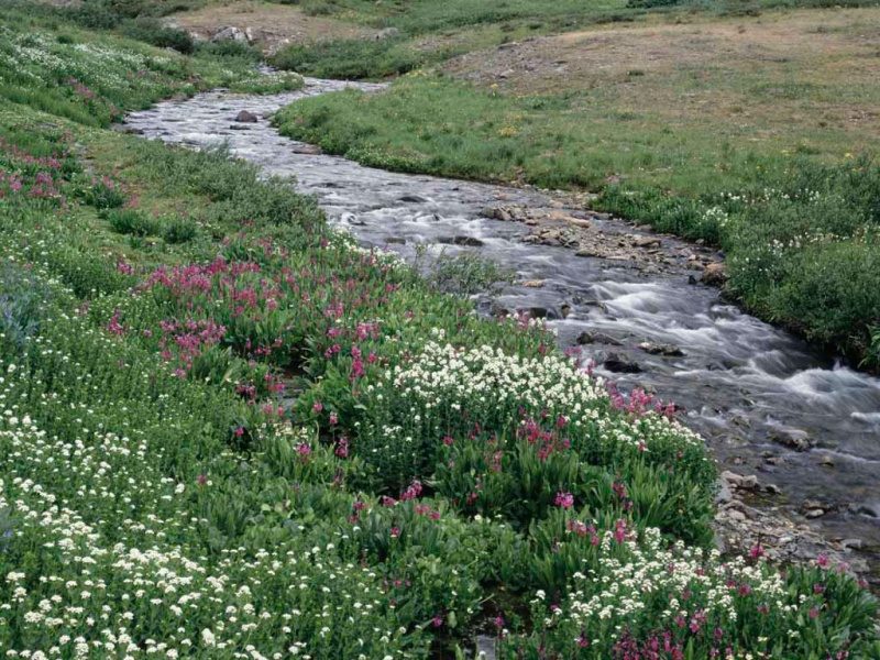 Arquivo:Creek.jpg