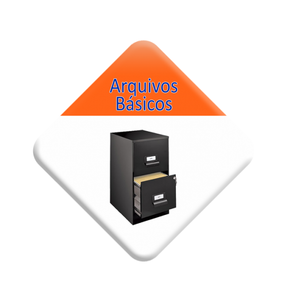 Arquivo:Arquivos Basicos.png